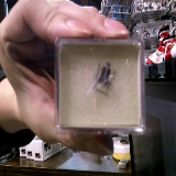 鐵支路 VM3001-46 N規 新型集電弓組