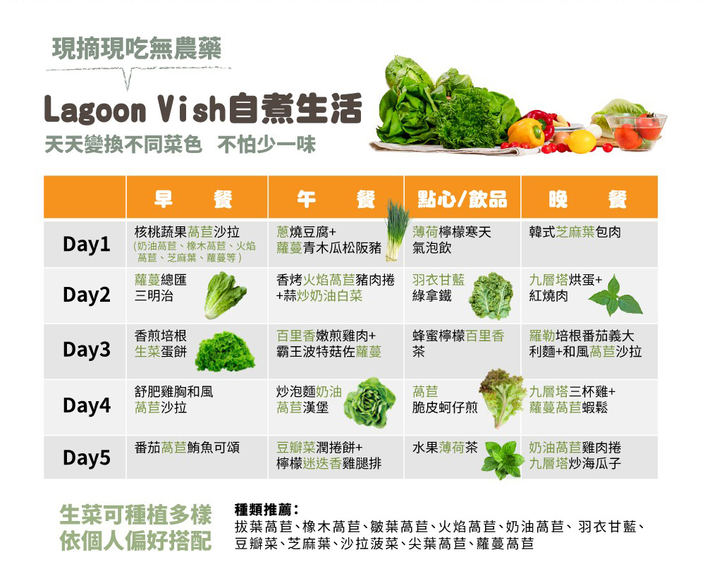 original Vish 2.0家庭魚菜共生 - Lagoon 創意家具&生活家電