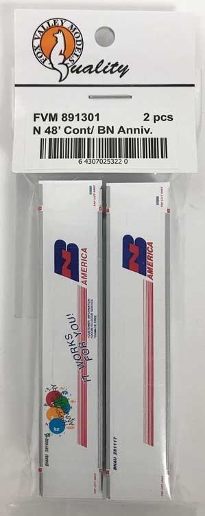 FVM 891301 N規 BN America 48呎 貨櫃 白 2個