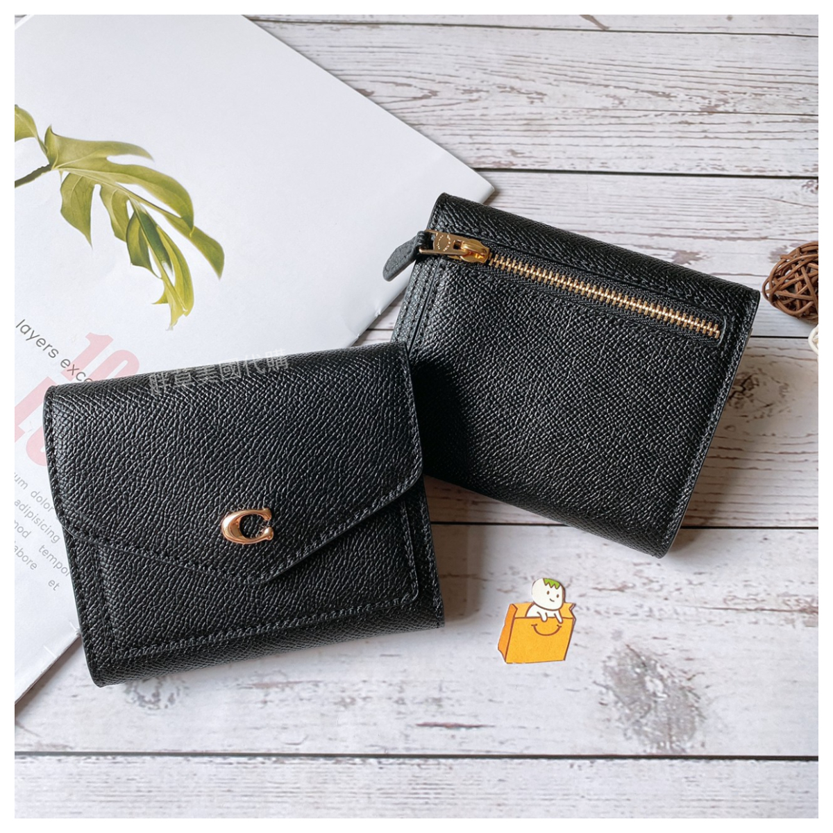 Wyn Small Wallet In Colorblock Signature