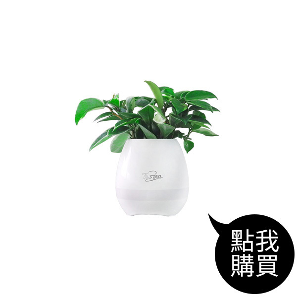 TCS1150 可彈奏的智慧音樂花盆藍牙喇叭