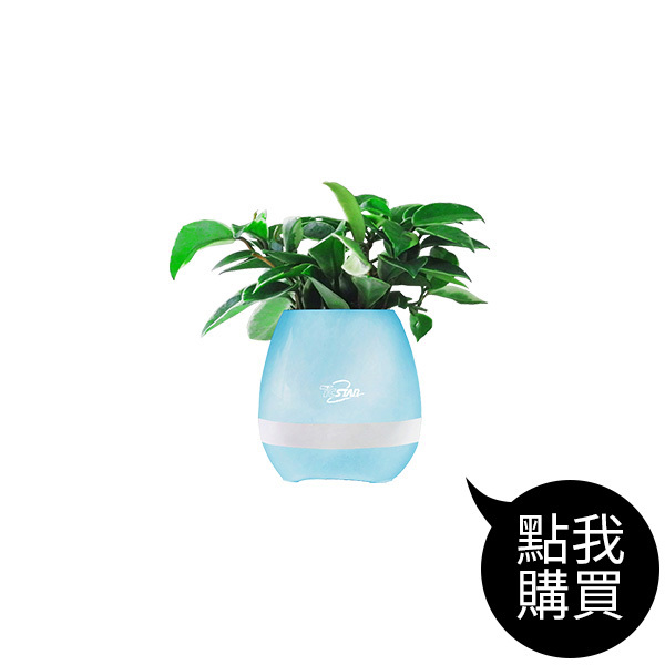 TCS1150 可彈奏的智慧音樂花盆藍牙喇叭
