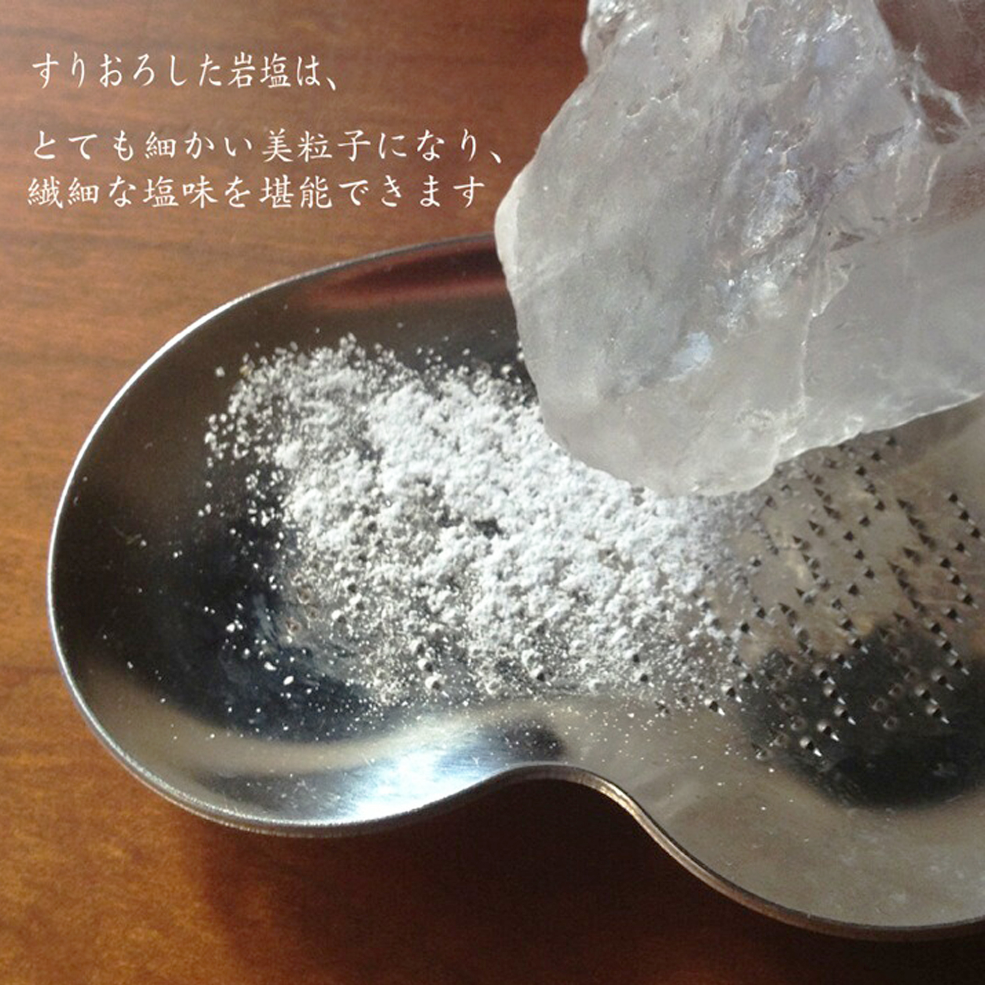 SALUS Stainless Steel Chef Grater