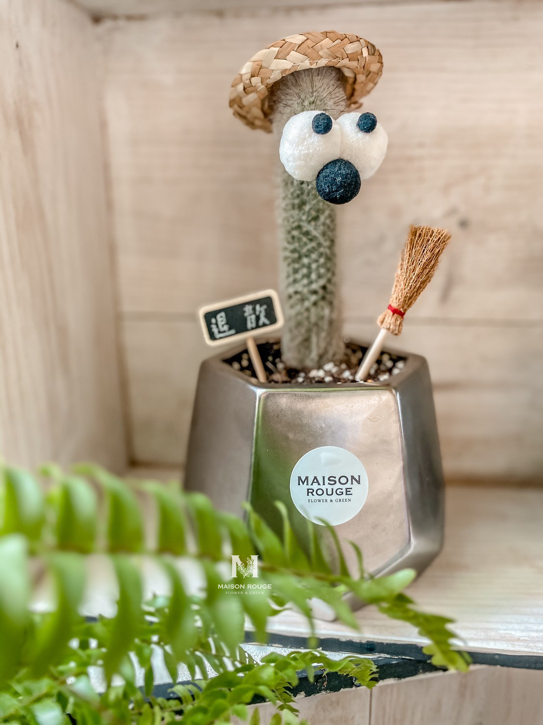 壞運退散・魔法魔法仙女棒・多肉植栽