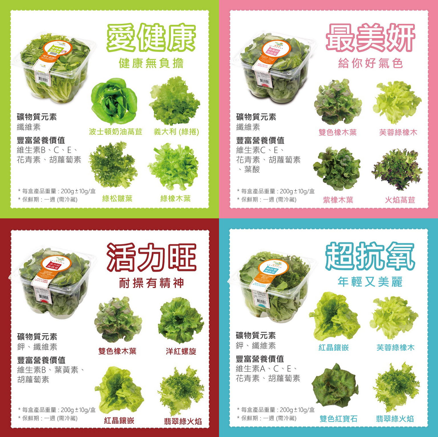 四款美蔬菜的萵苣種類，分別有愛健康、最美妍、超抗氧、活力旺，每盒菜都有四種種類萵苣
