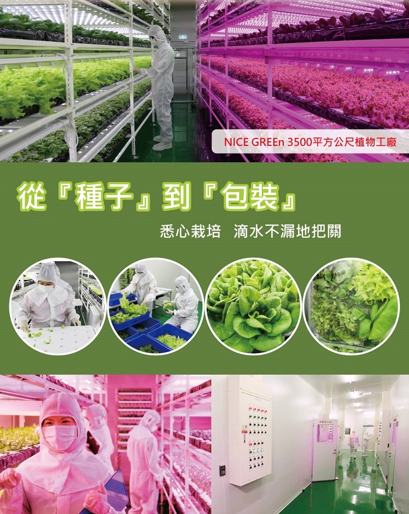從種子到包裝採用最高規格，無塵室裡種植新鮮美蔬菜