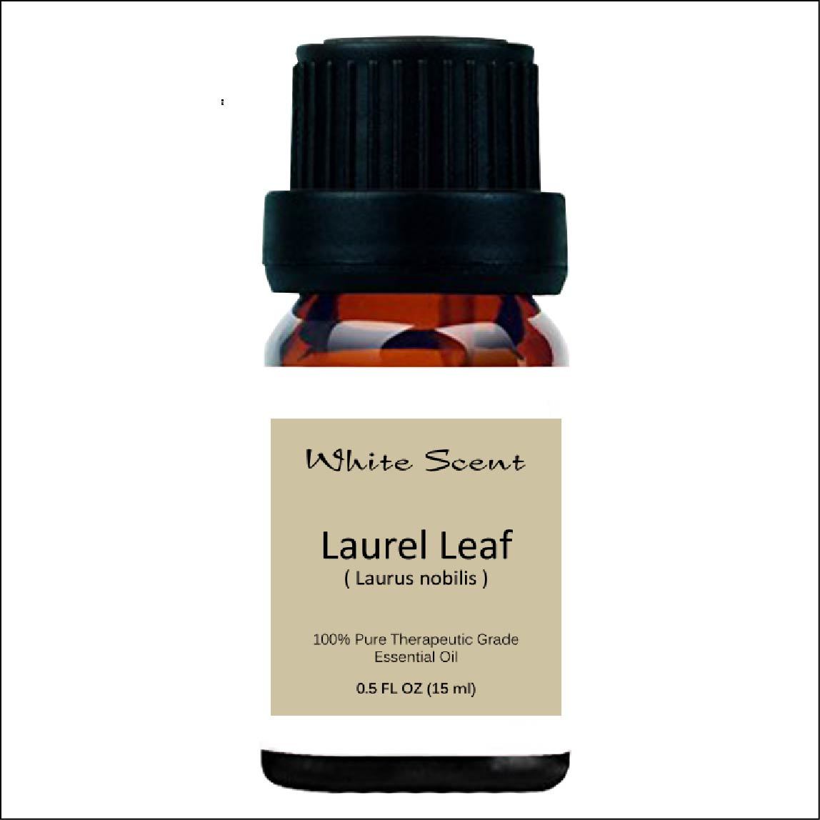 Laurel Leaf Essential Oil