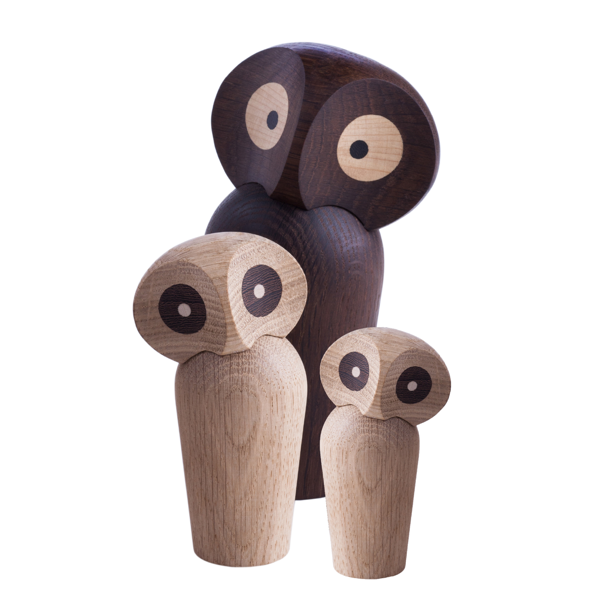 貓頭鷹 / 擺飾 by Architectmade