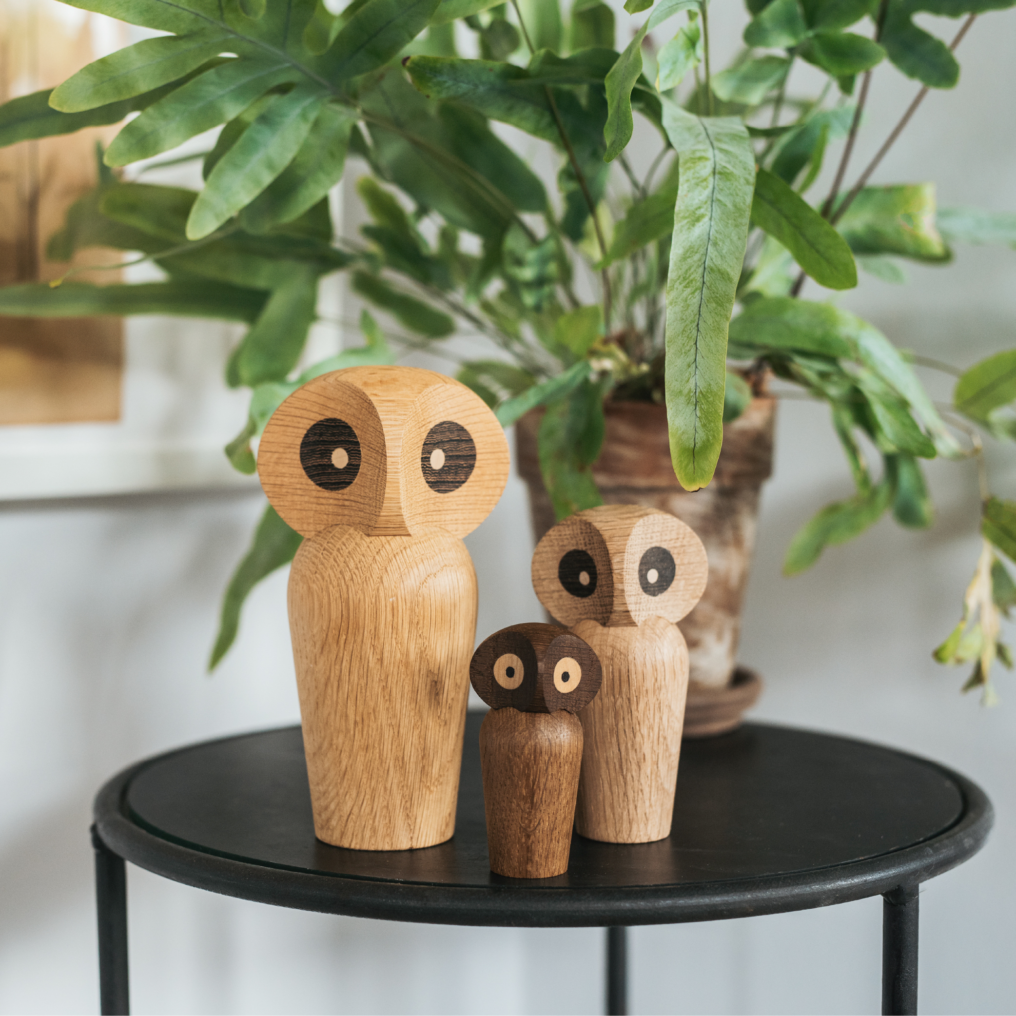 貓頭鷹 / 擺飾 by Architectmade
