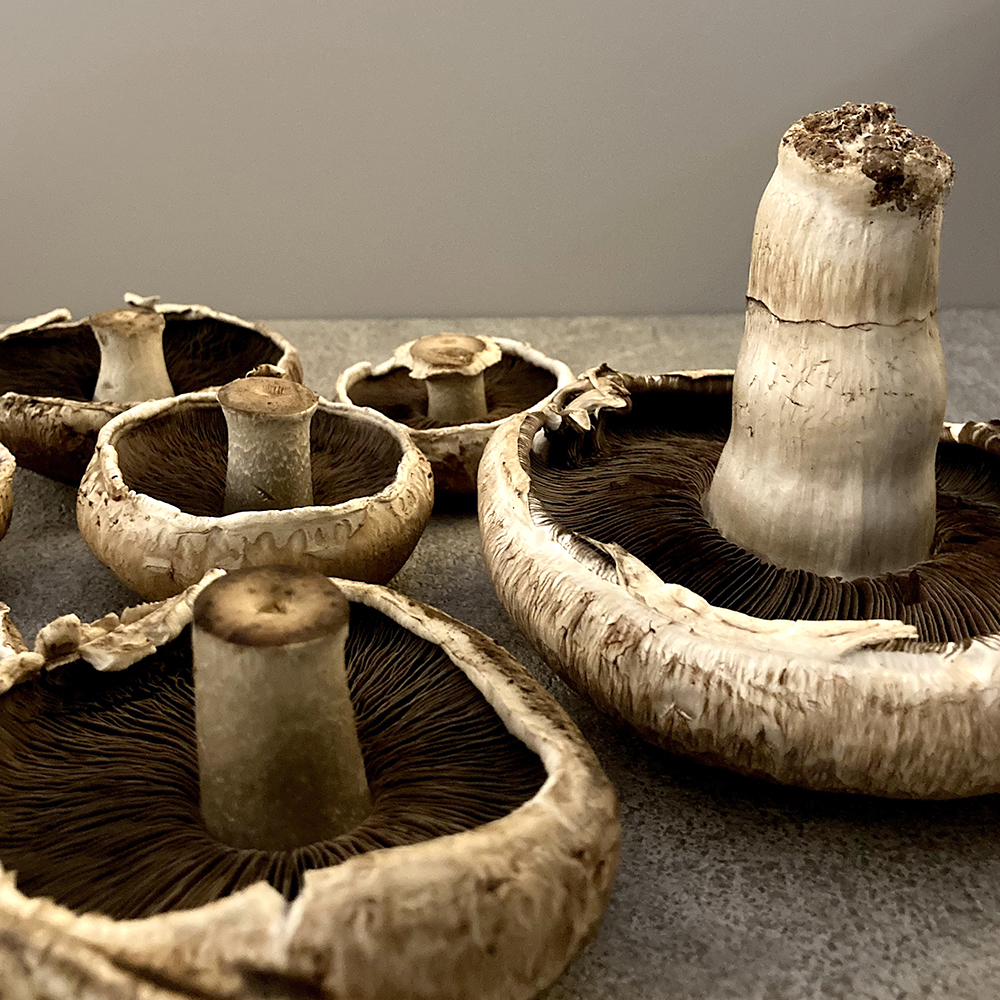 波特菇_迷你盒 150g/2-3顆