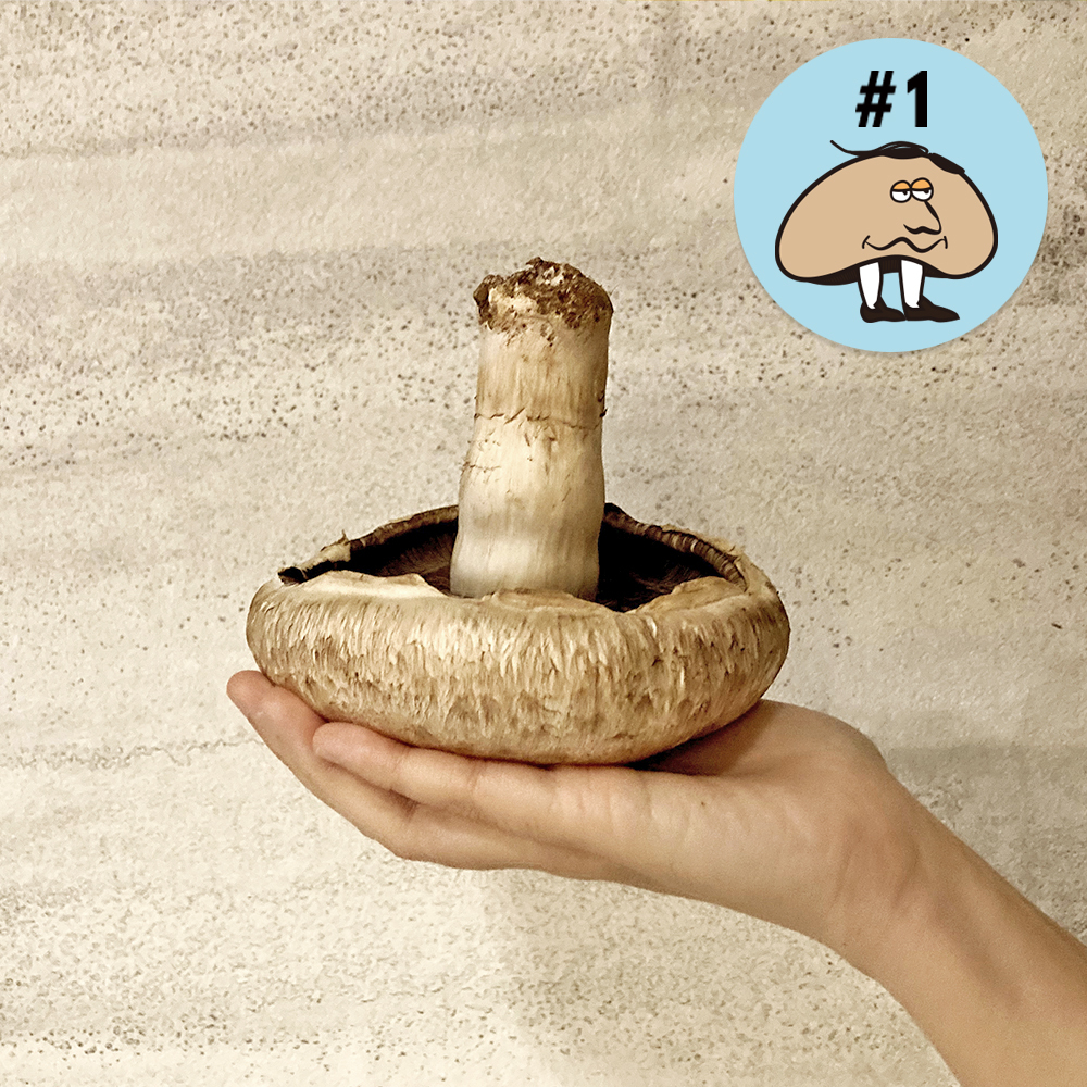 波特菇_迷你盒 150g/2-3顆