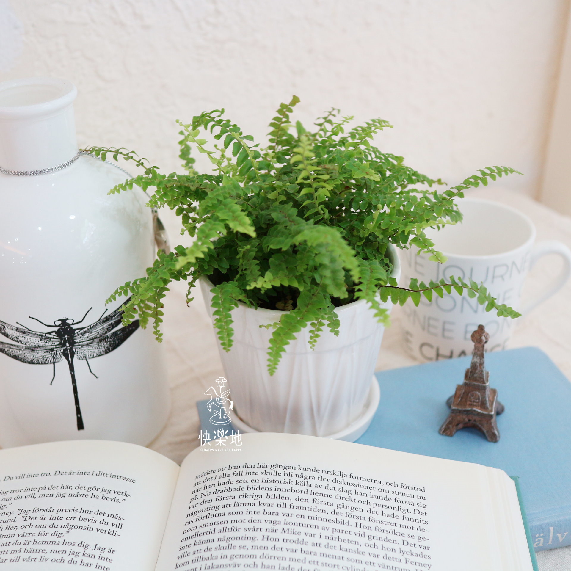 居家清新方案 I 買四盆送一盆 免運費  GP210506