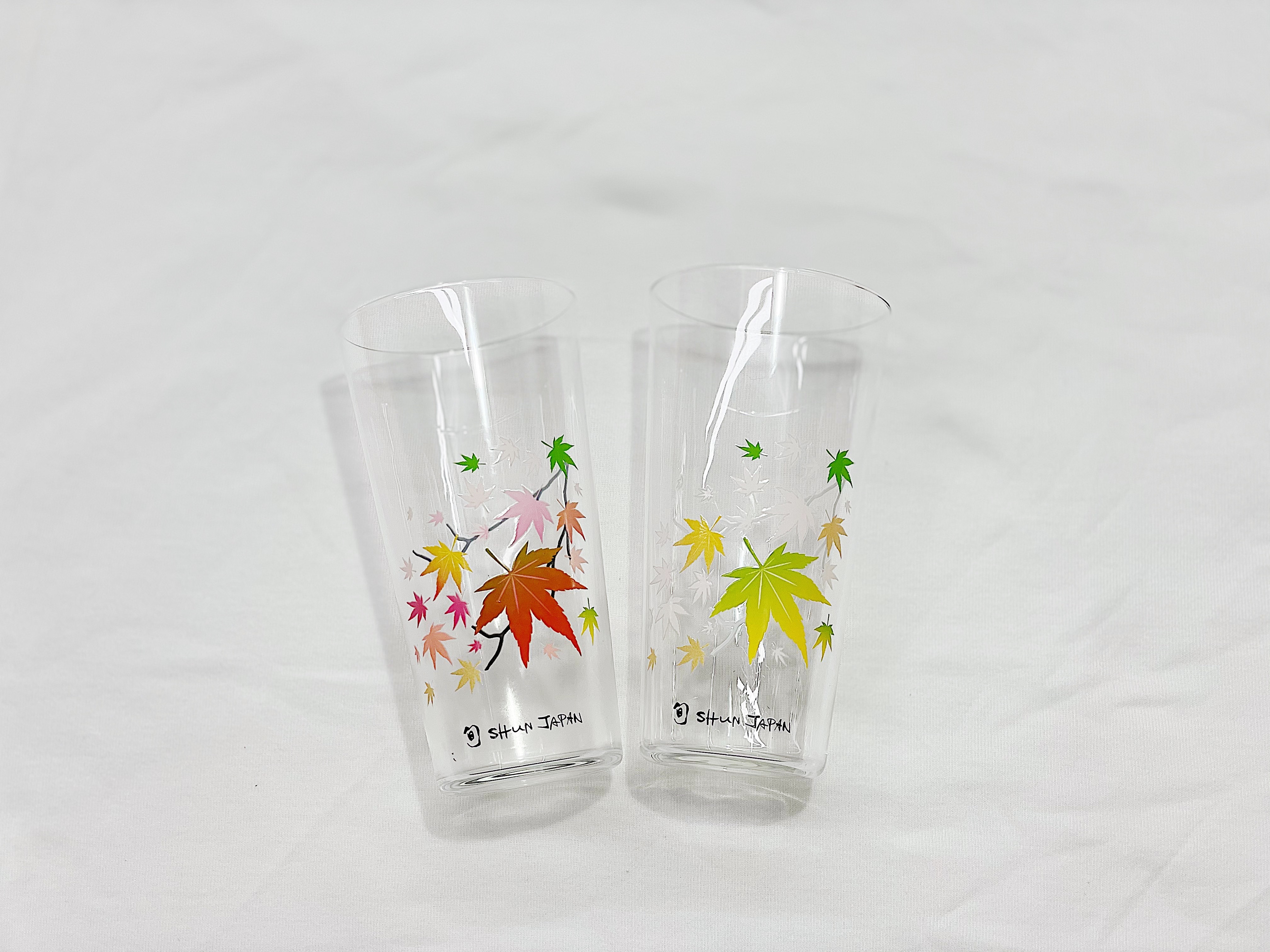 丸モ高木陶器 冷感紅葉 Beer Glass Set(cm-04s)
