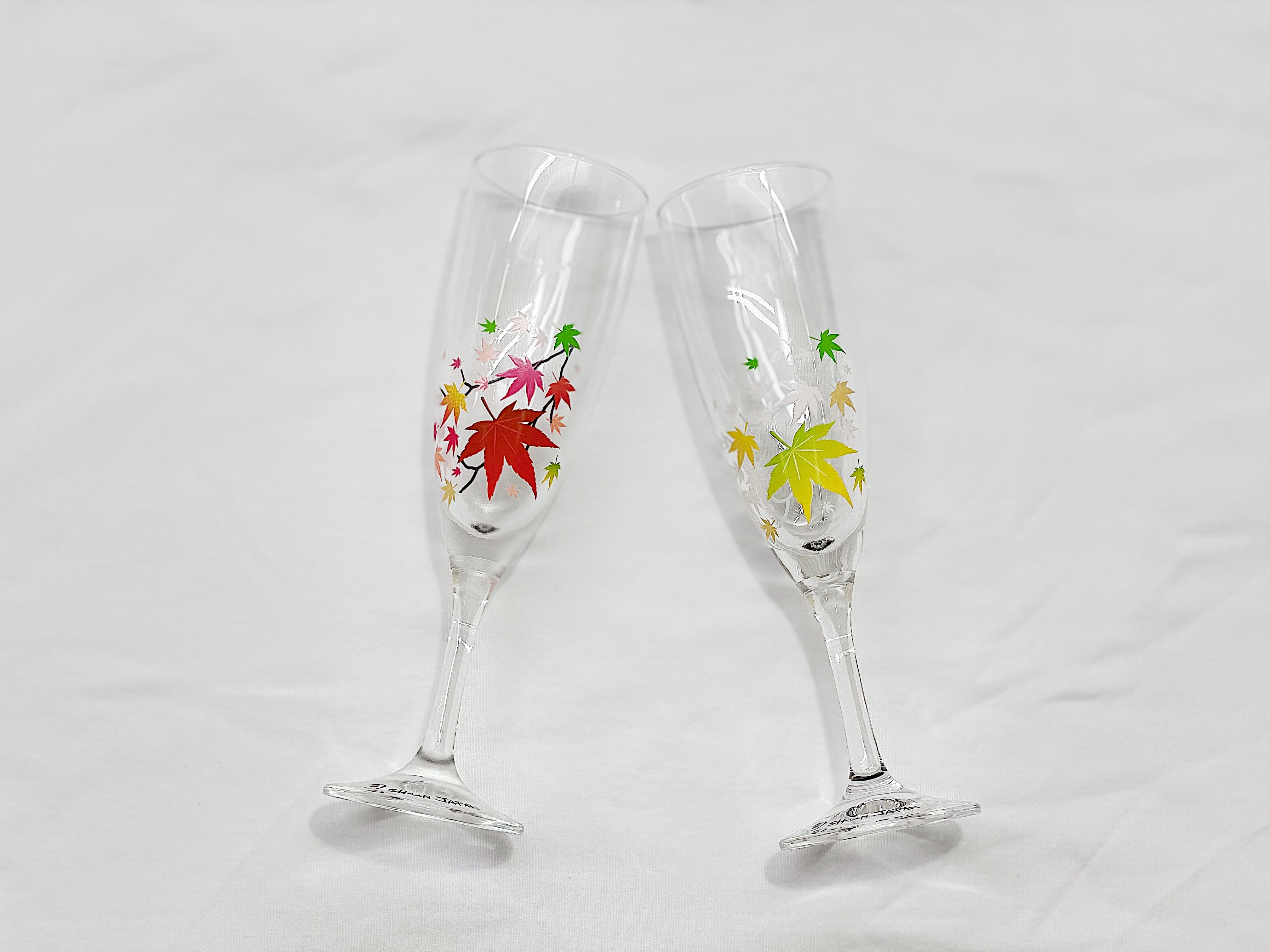 丸モ高木陶器 冷感紅葉 Champagne Glass Set(cm-02s)