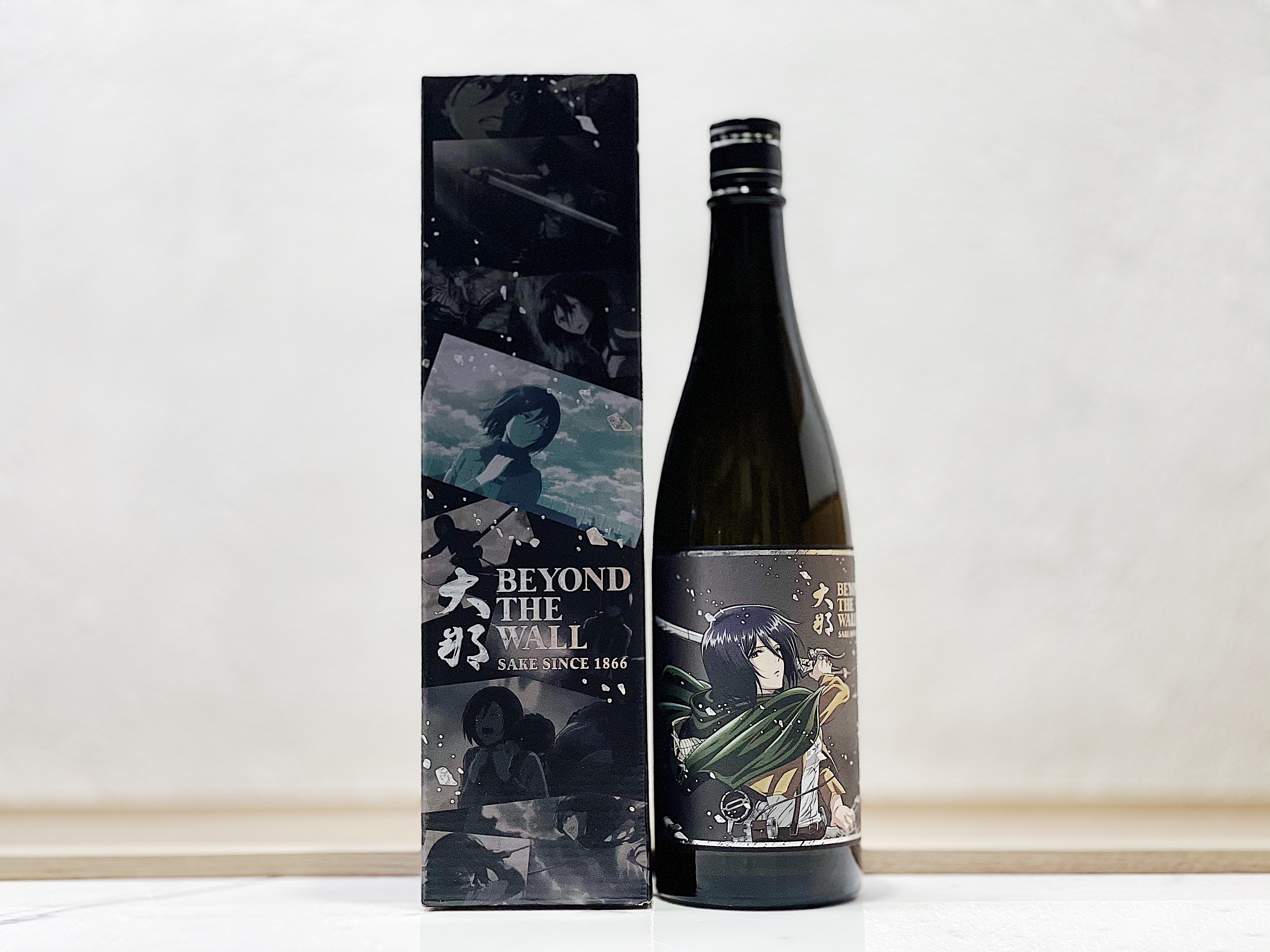 大那 進撃之巨人 BEYOND THE WALL ミカサモデル