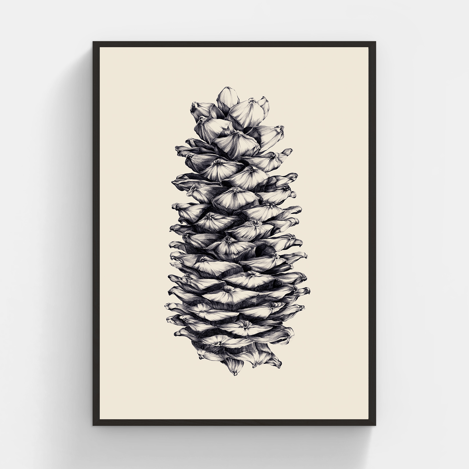 李茜〈松果──Pinusarmandii 華山松〉限量版畫