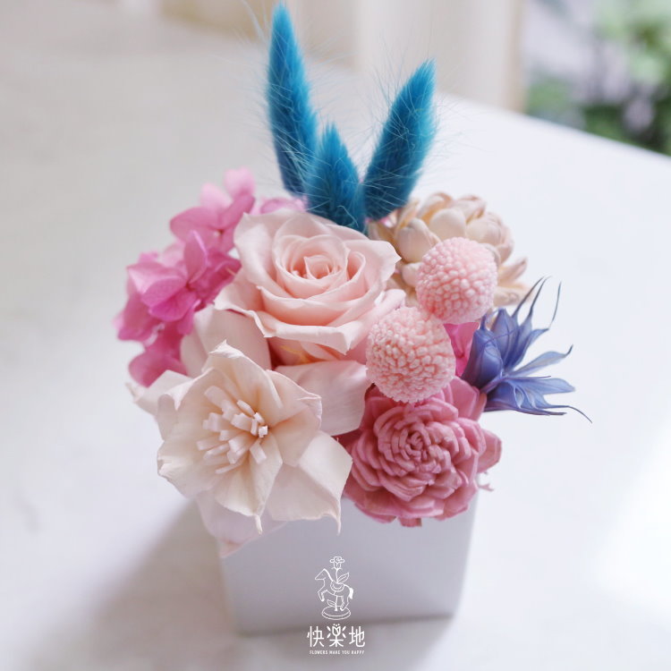 居家DIY課程 I 精選課程組合 PF210509