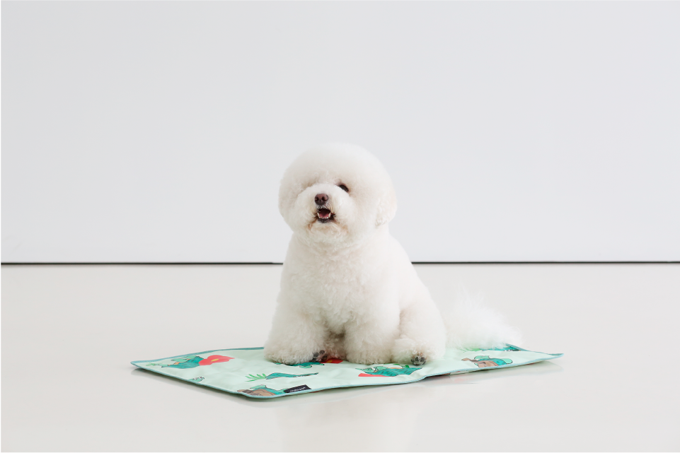 夏威夷海龜寵物涼墊 - andblank