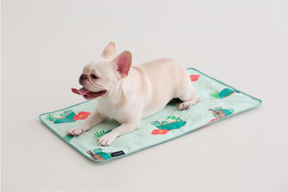 夏威夷海龜寵物涼墊 - andblank