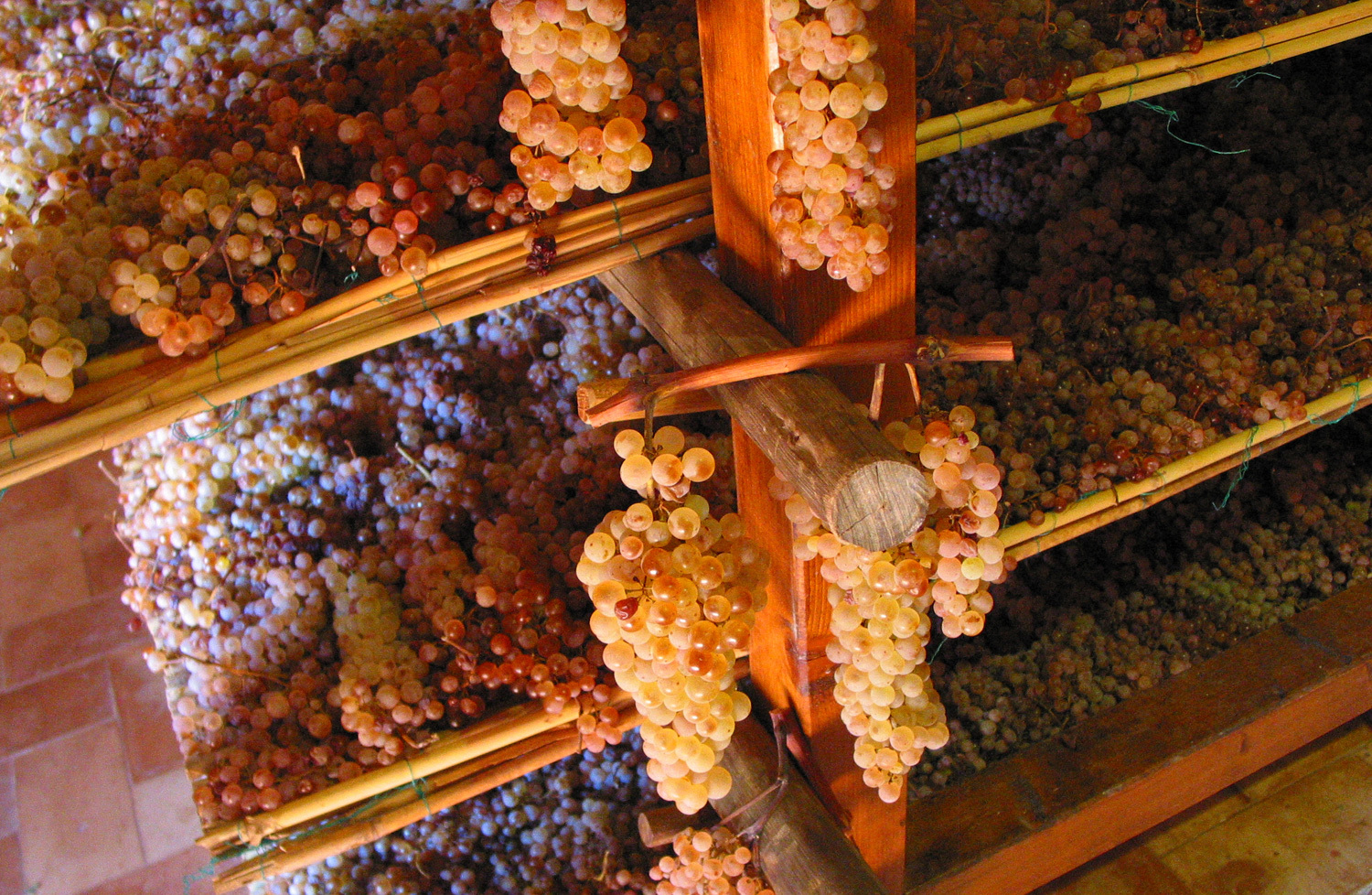 Vin Santo Grape Italy Sweet Wine