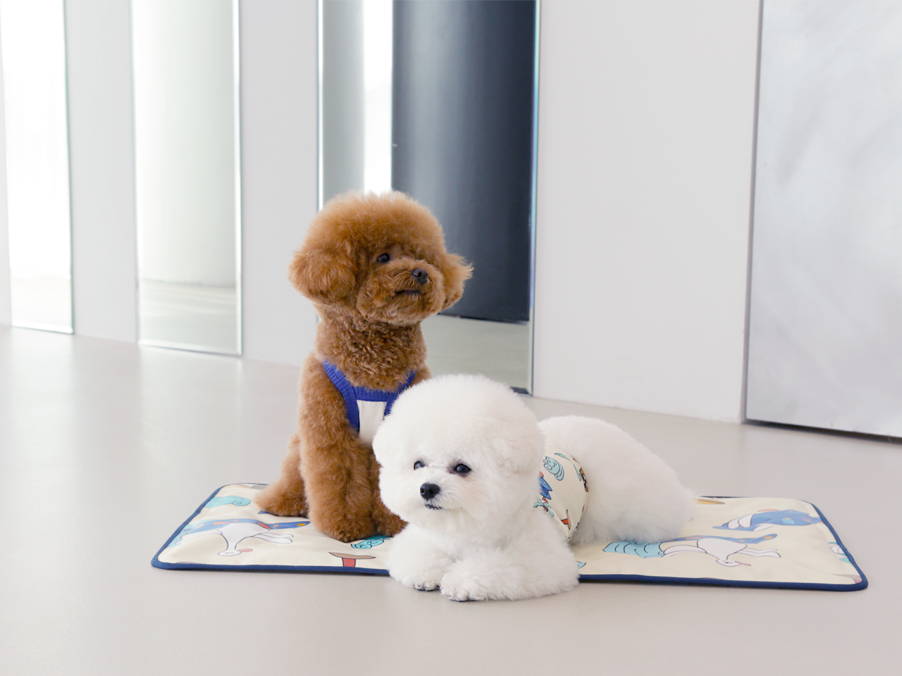 衝浪俱樂部寵物涼墊 - andblank