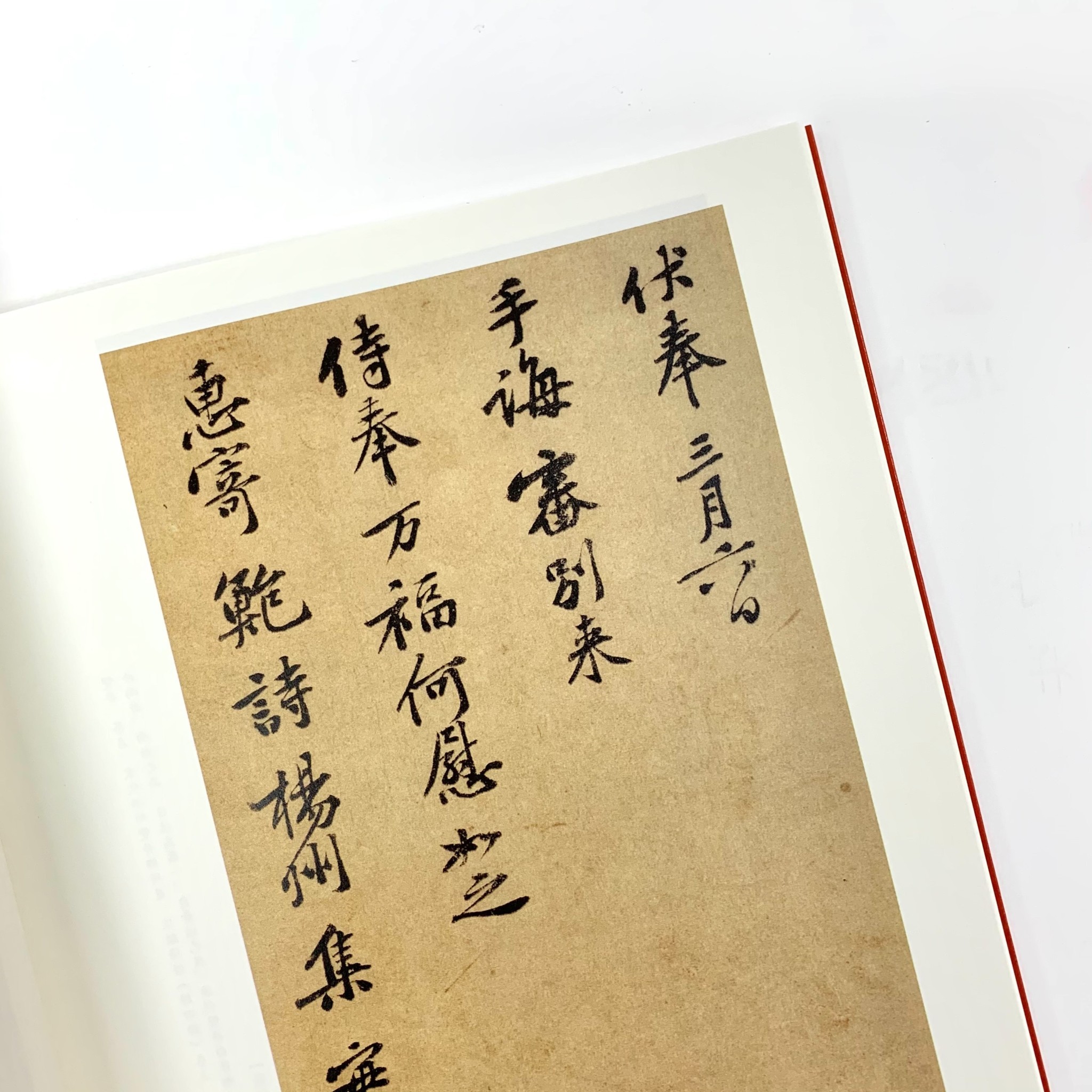 original.jpeg?1621986169