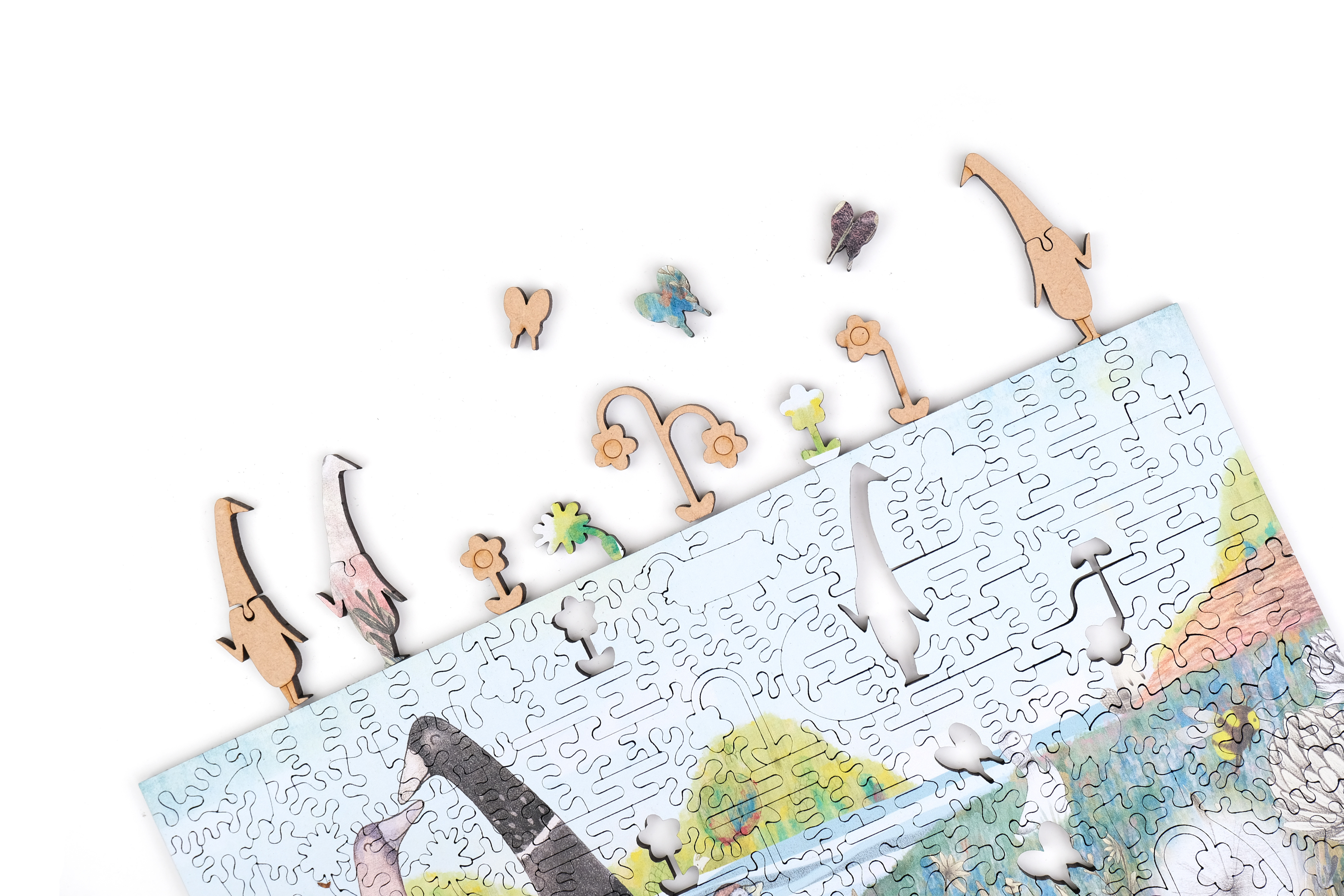 鴨子家族 Duck Family