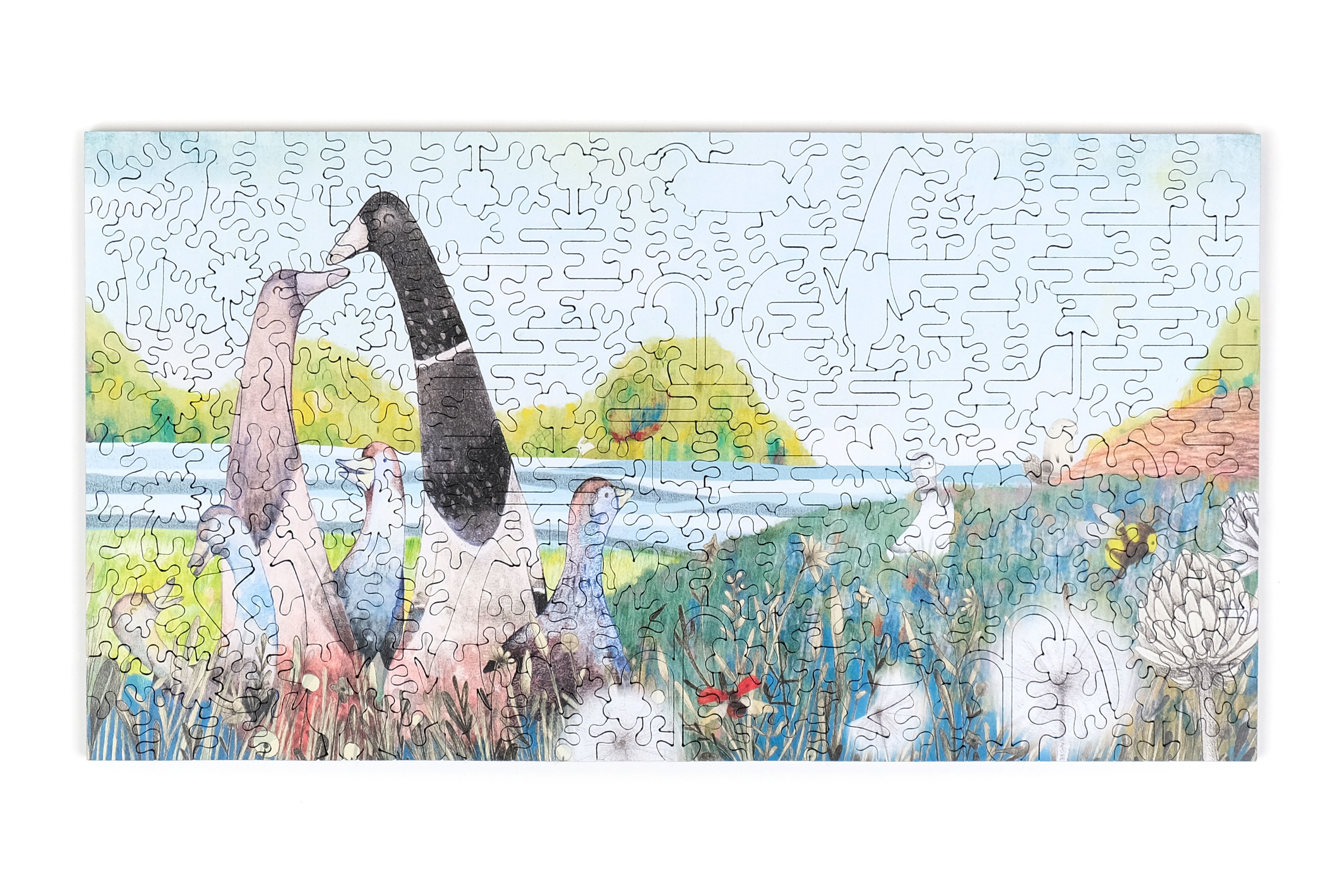 鴨子家族 Duck Family