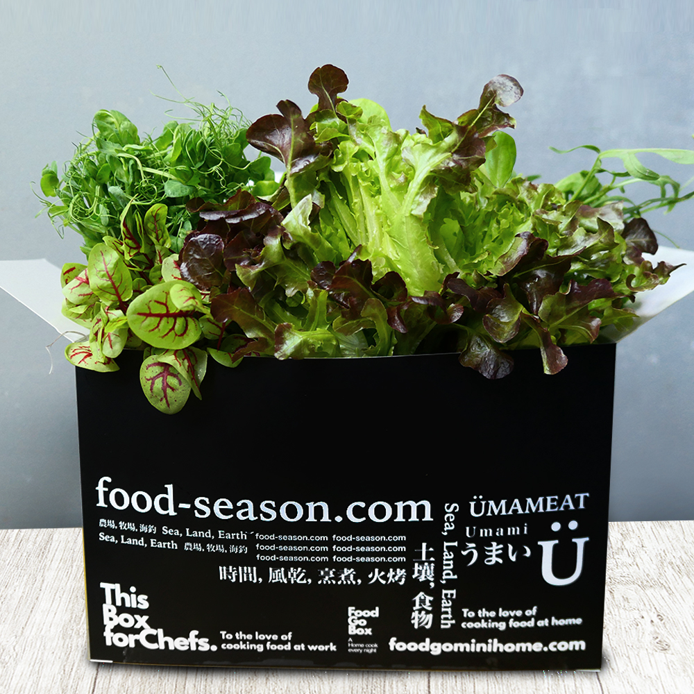 【蔬菜箱】清爽篇