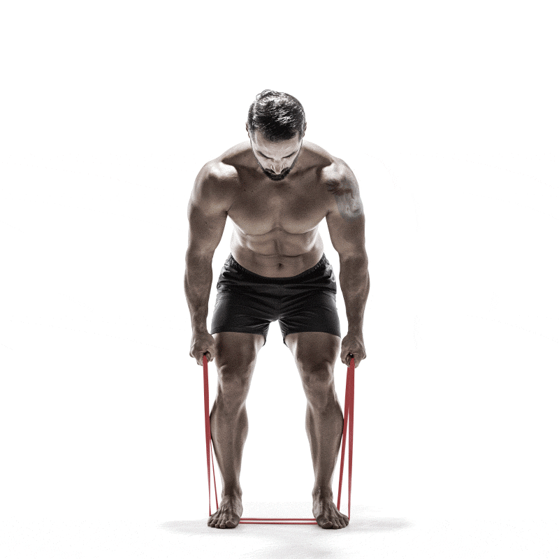 érugam erugam 健身器材 健身用品 運動健身器材 居家健身 在家健身 在家重訓 練臀 翹臀 練屁股 臀大肌 深蹲 筋肉彈力帶 彈力繩 彈力帶 重訓帶 阻力帶 阻力繩 拉繩 拉力繩