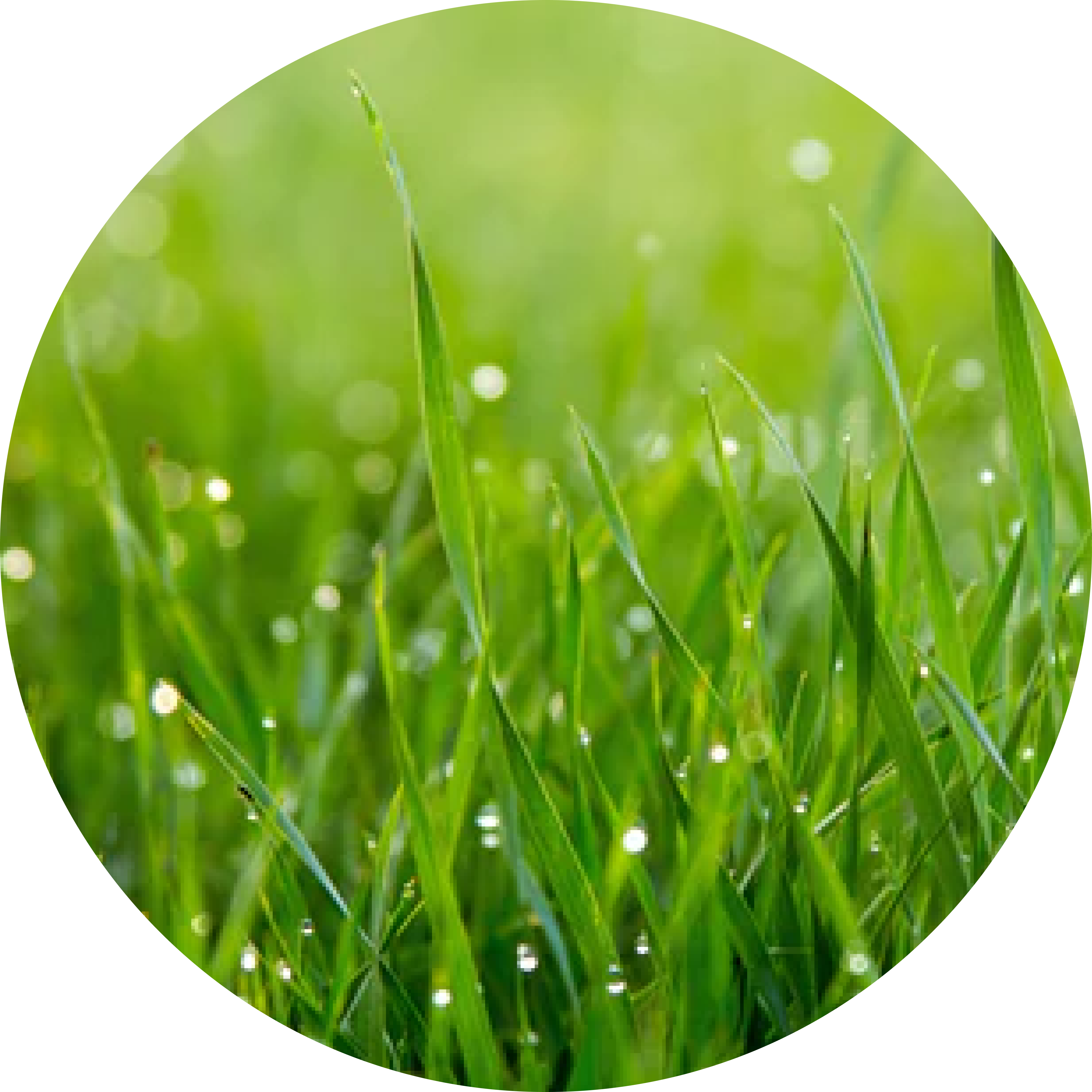 我們的產品天然無負擔