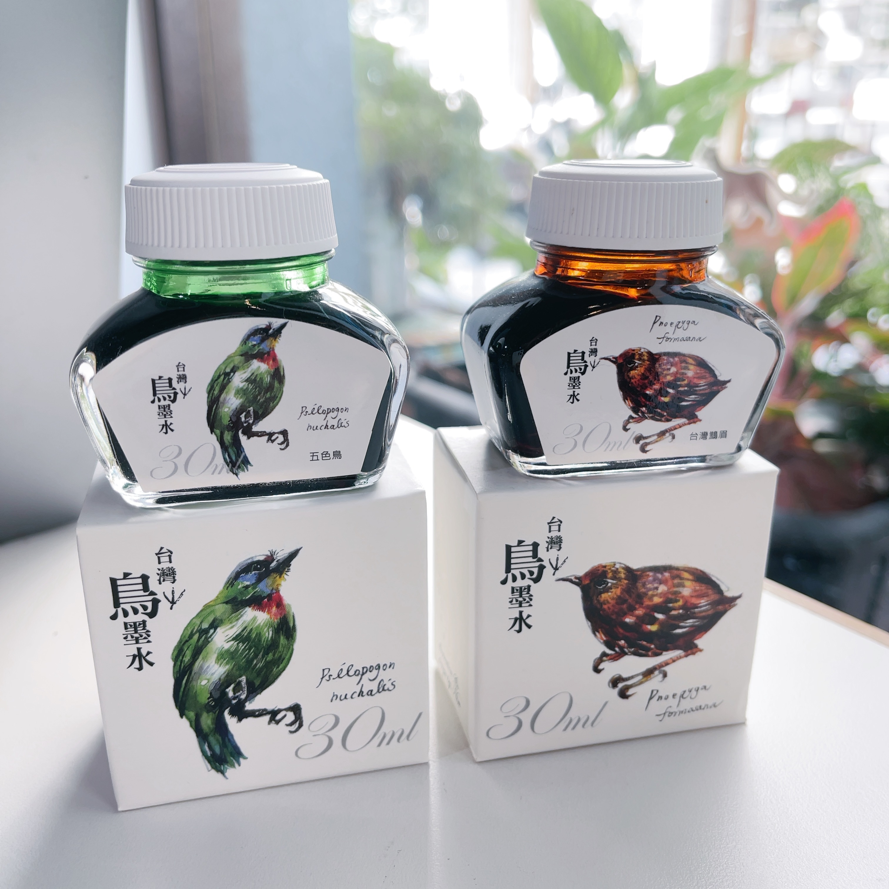 台灣鳥墨水二代