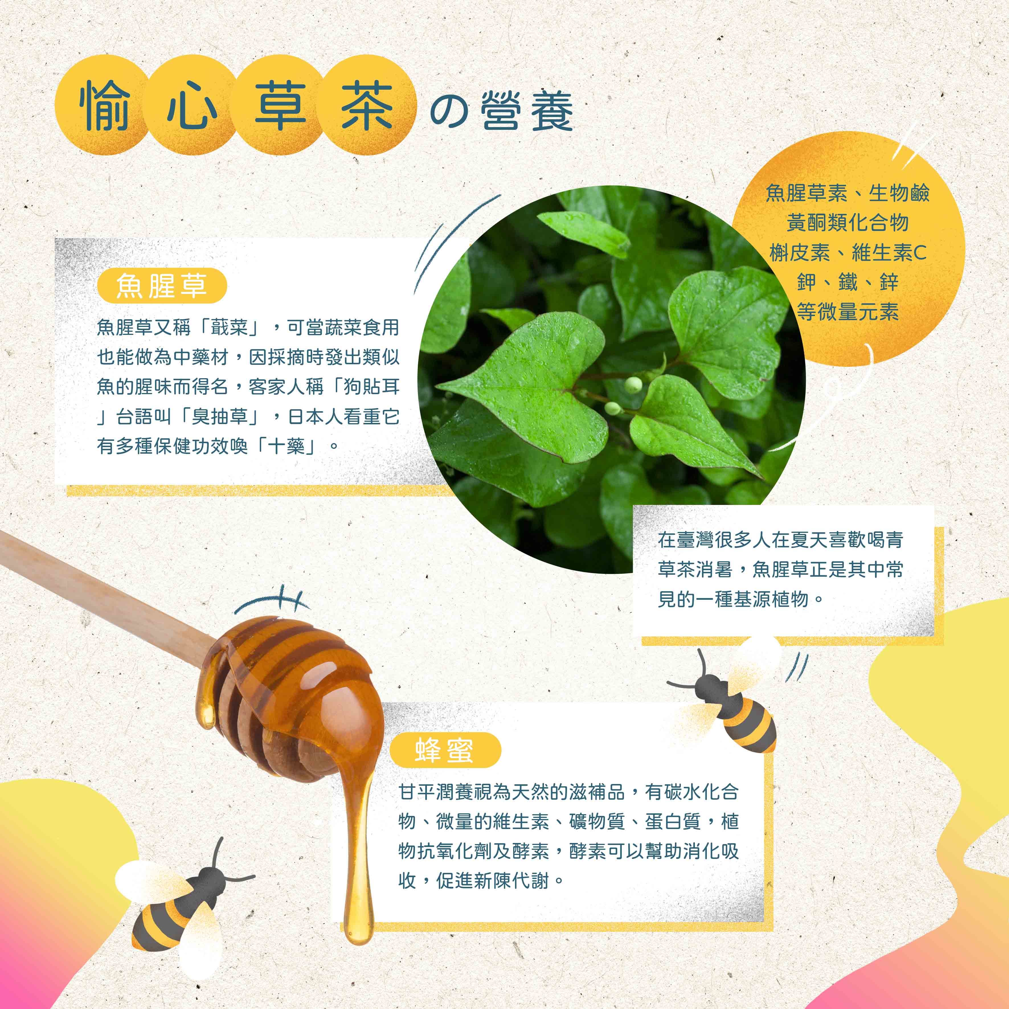 趕食髦_蜂蜜魚腥草茶 魚腥草的營養成分介紹