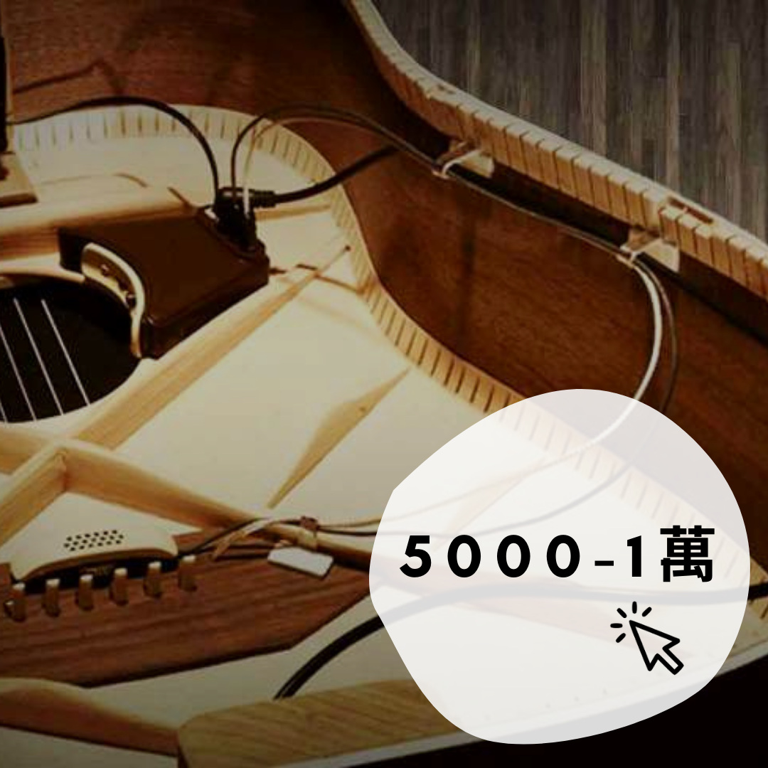 拾音器5000到10000