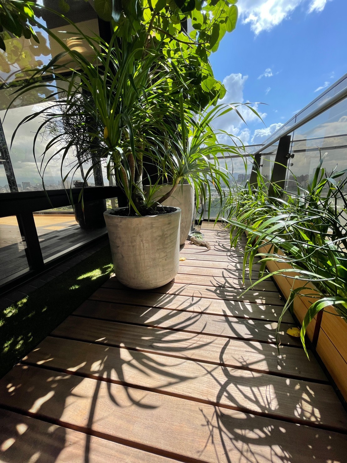 實木裝潢,有木,實木地板,陽台實木地板, 非洲柚木