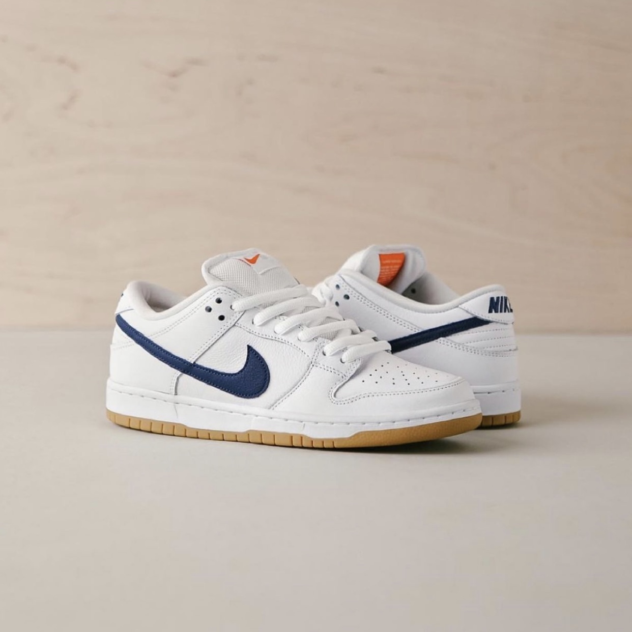 NIKE SB DUNK LOW PRO 