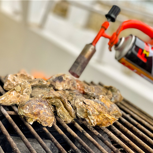 【屏東】大鵬灣遊湖、秘境自行車之旅