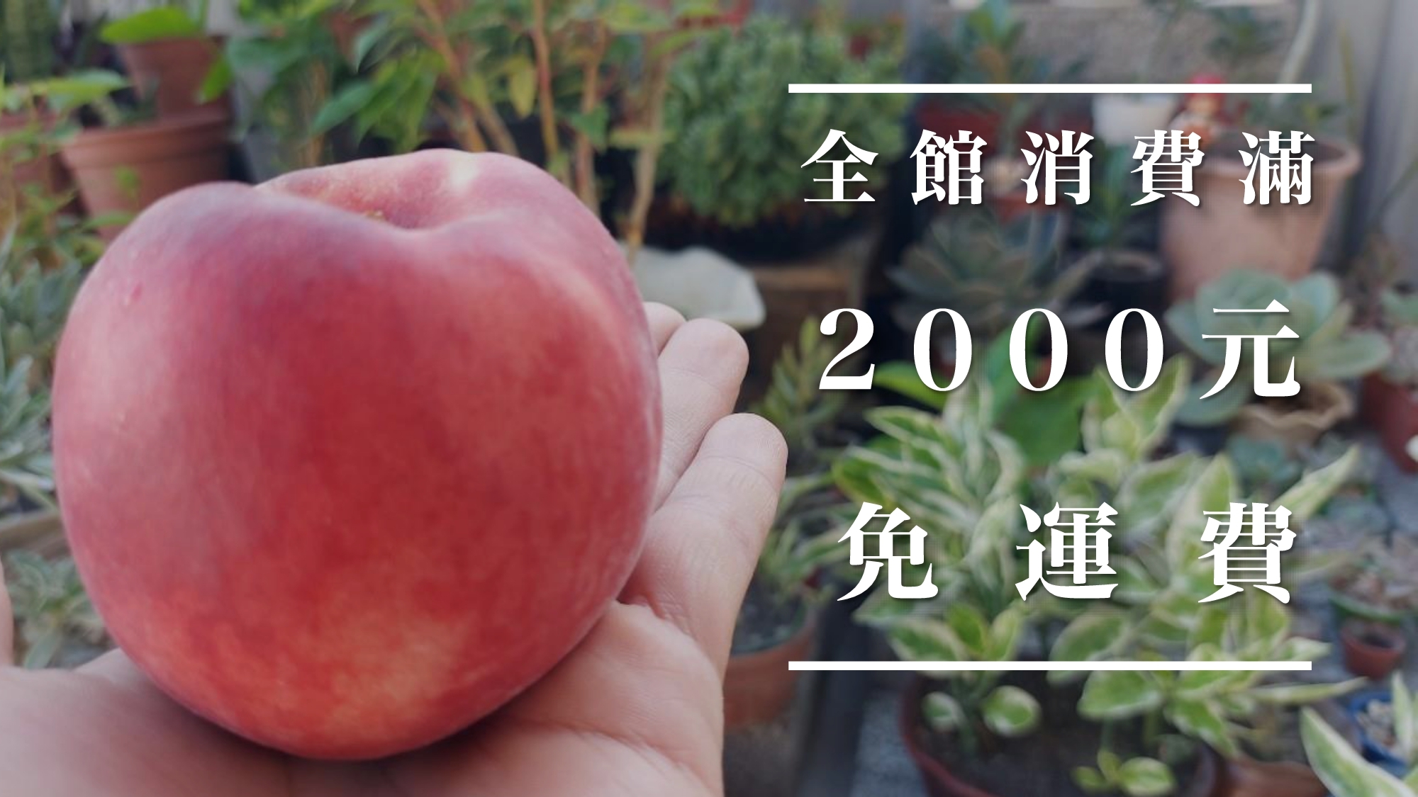 全館滿2000免運活動