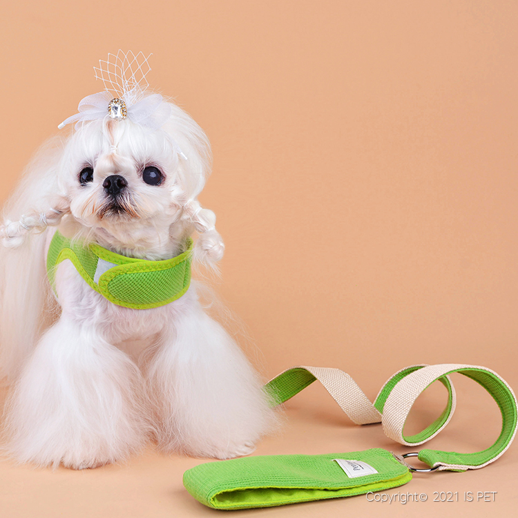 IsPet 全棉華夫格水果胸背帶+牽引繩套裝 - 綠色 [3尺寸]
