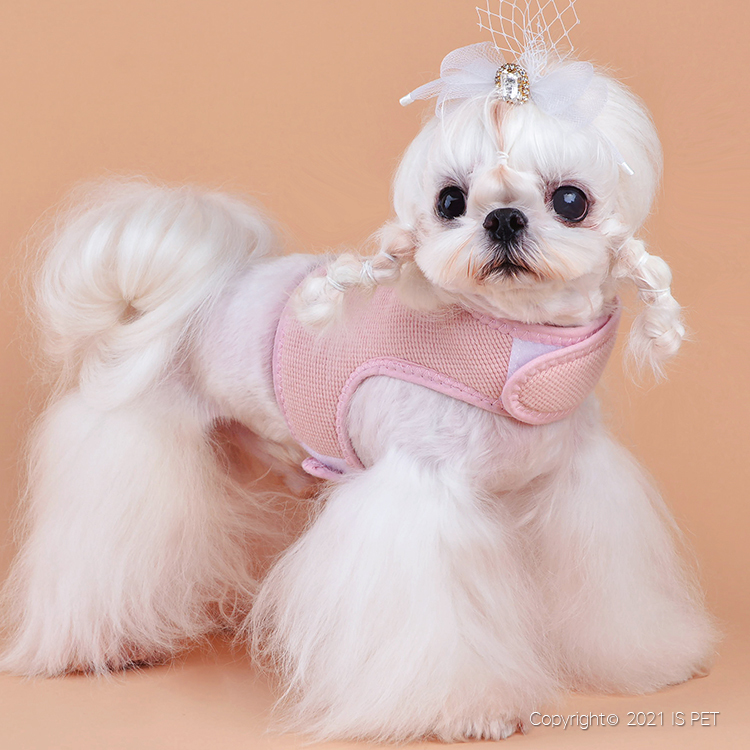 IsPet 全棉華夫格水果胸背帶+牽引繩套裝 -粉紅色 [3尺寸]