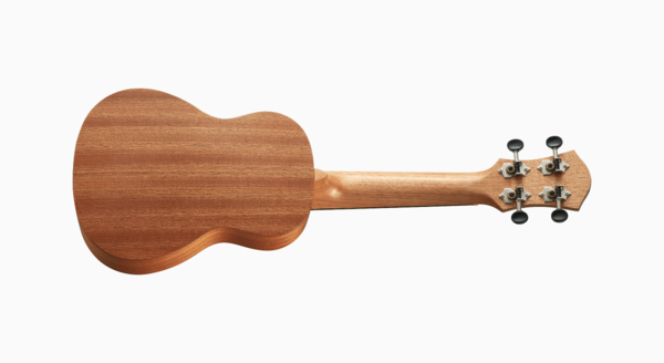 aNueNue aNueNue 彩虹人 烏克麗麗 B1 21吋 桃花心木 Rainbow入門系列 第 3 張圖片｜三峽烏克麗麗