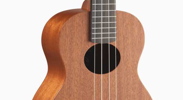 aNueNue aNueNue 彩虹人 烏克麗麗 B2 23吋 桃花心木 Rainbow入門系列 第 5 張圖片｜三峽烏克麗麗