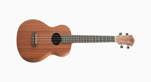 aNueNue aNueNue 彩虹人 烏克麗麗 B3 26吋 桃花心木 Rainbow入門系列 第 2 張圖片｜三峽烏克麗麗