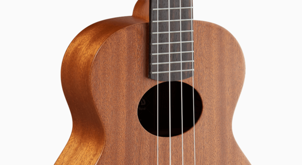 aNueNue aNueNue 彩虹人 烏克麗麗 B3 26吋 桃花心木 Rainbow入門系列 第 5 張圖片｜三峽烏克麗麗