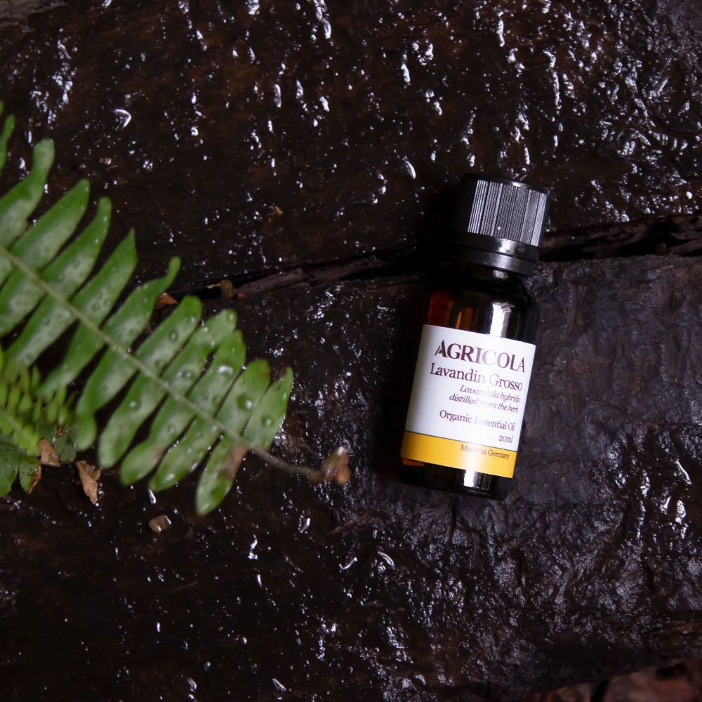 有機葛羅索醒目薰衣草精油-20ml