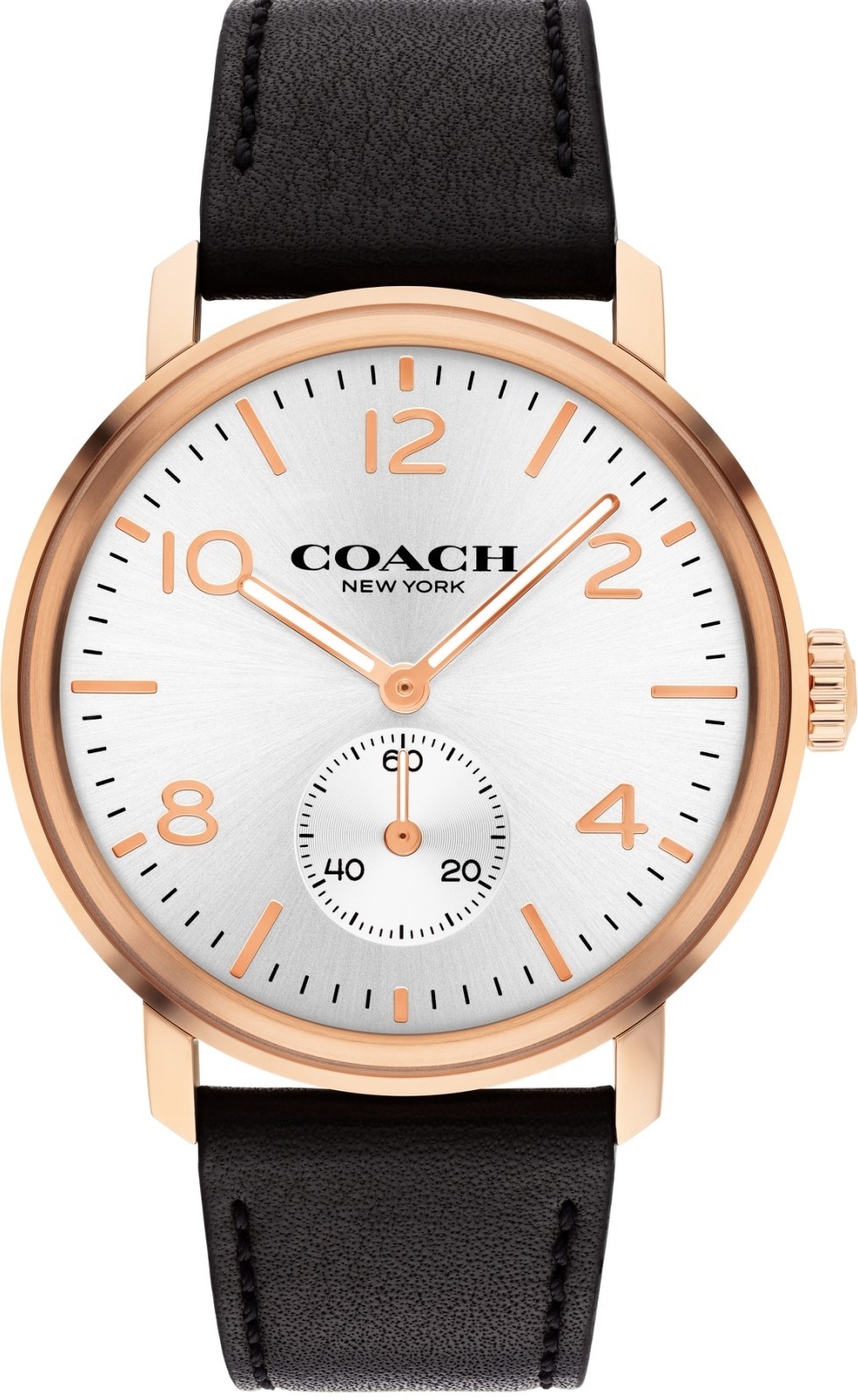 萬年鐘錶 - COACH錶  皮革款紳士風格男錶  14602543  錶徑42MM