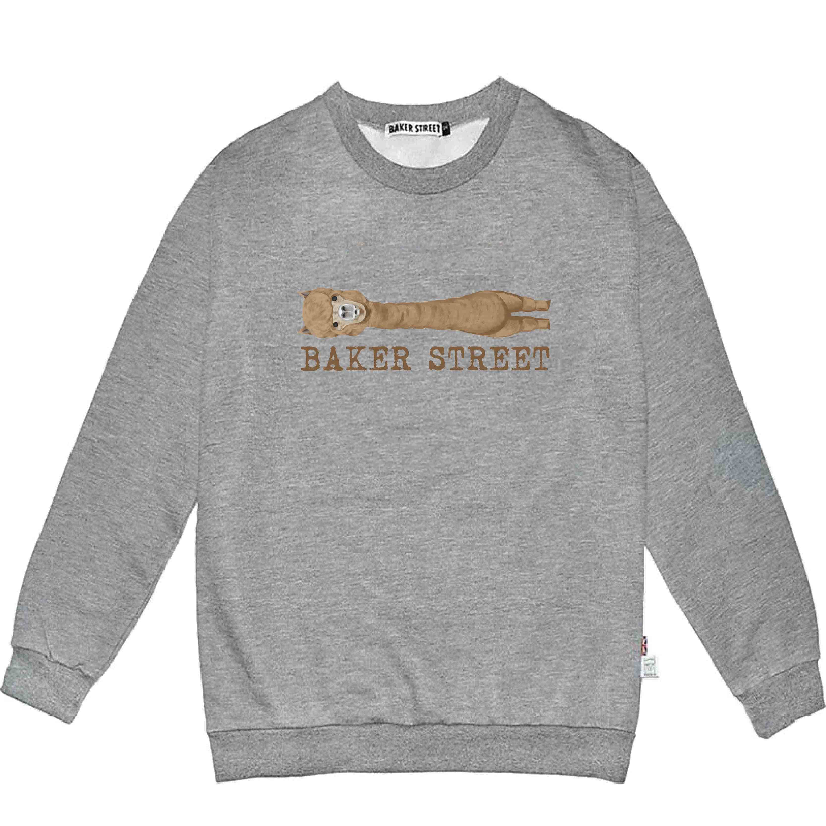 Alpaca with Long Neck 高磅數長袖圓T