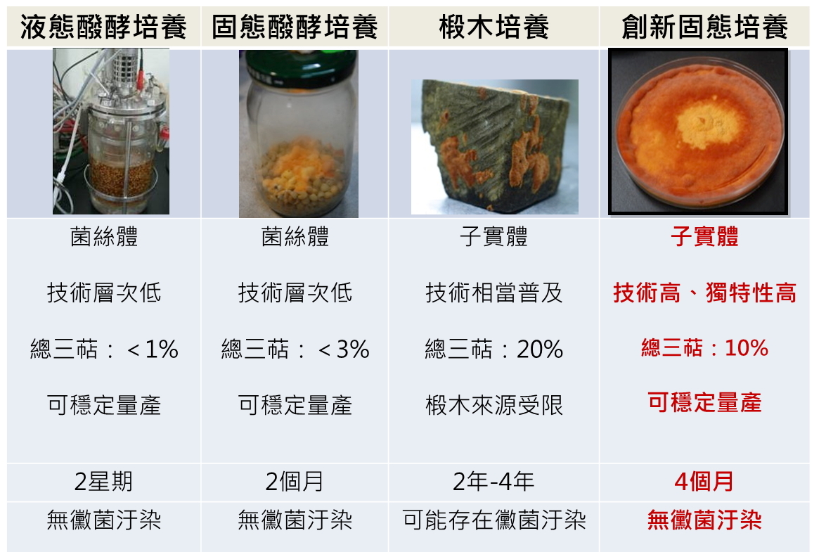 牛樟芝培養技術比較