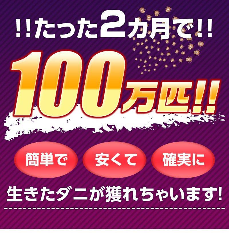 Goodbye Danny 除虫3D布