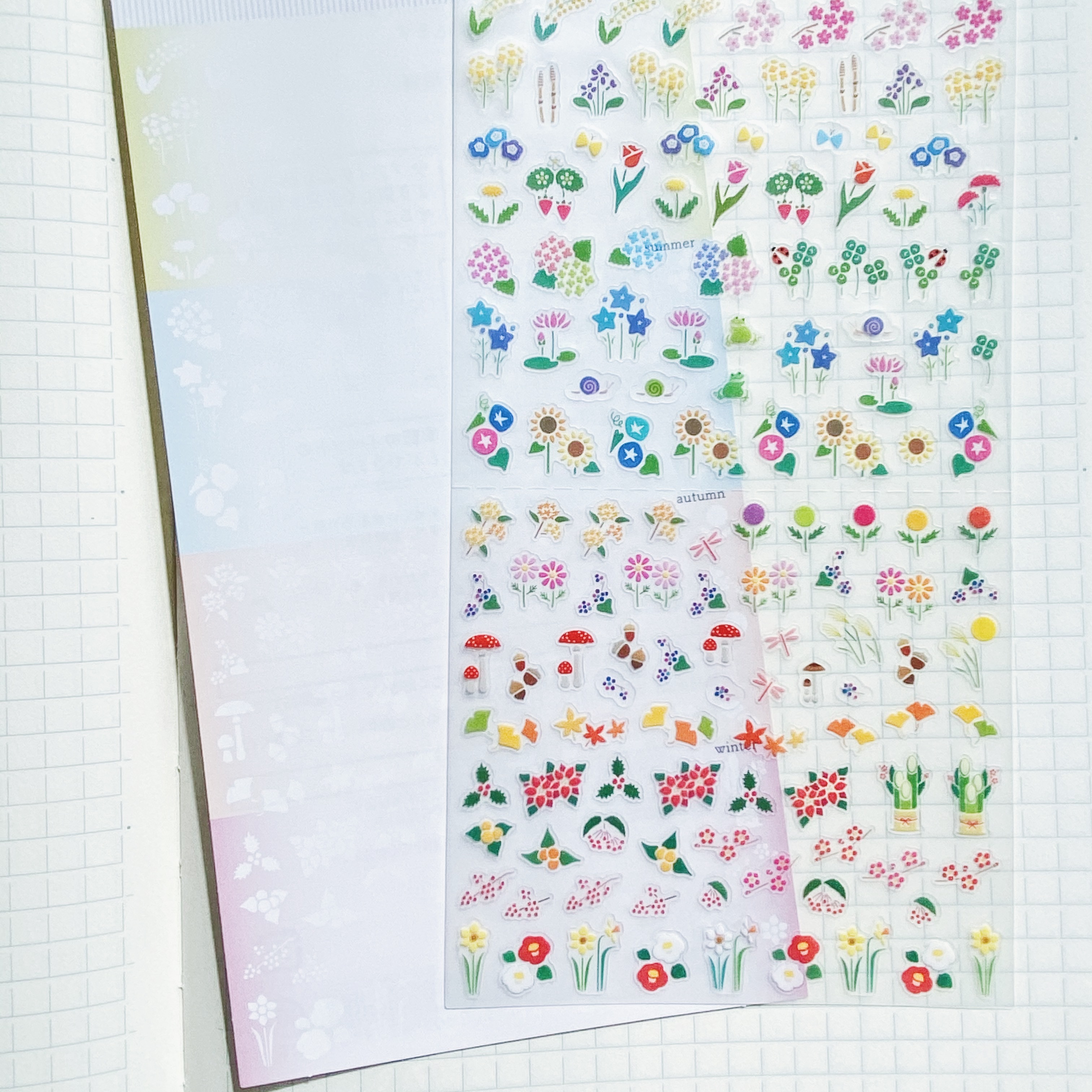 MIDORI 花草植物 手帳專用貼紙 透明小貼紙